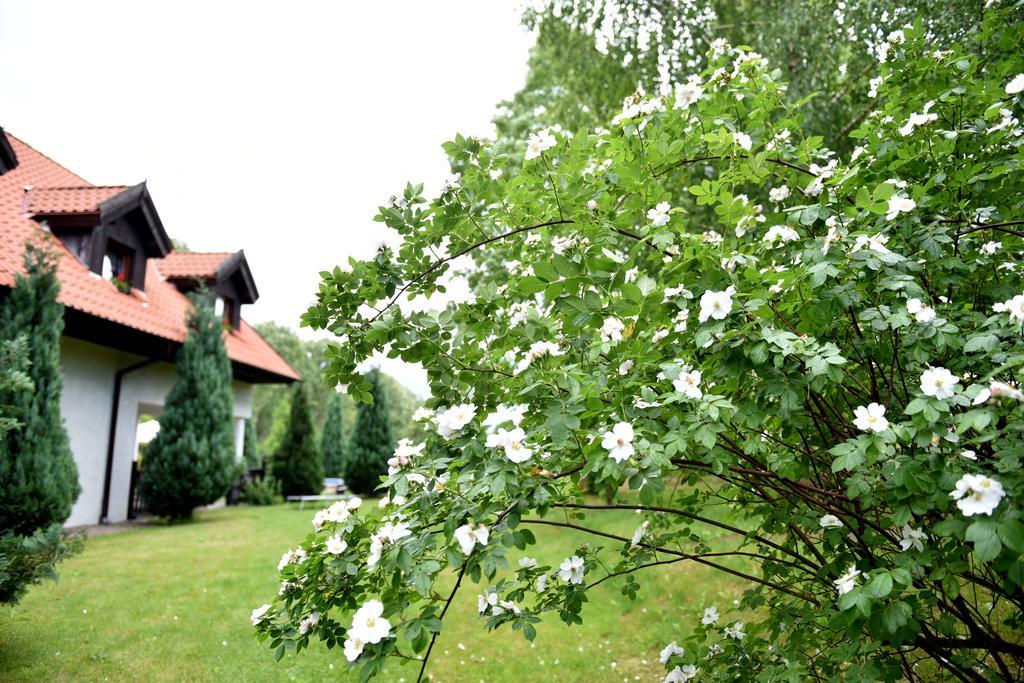 Zajazd Bialy Mlyn Sterławki Wielkie Buitenkant foto